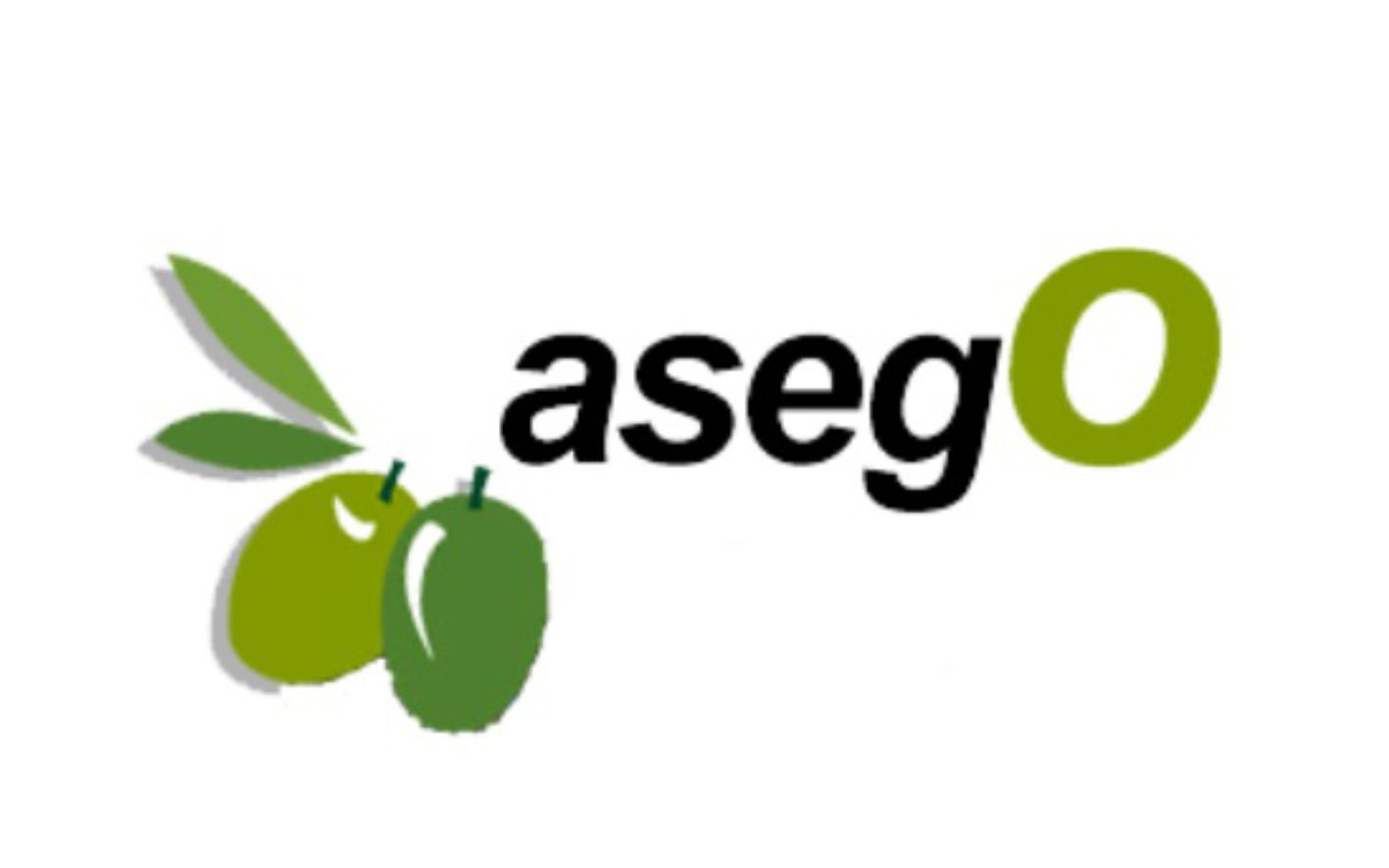 logo asego